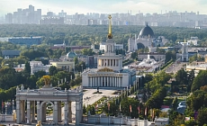 Виды